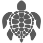 Turtle Pocket Graphic