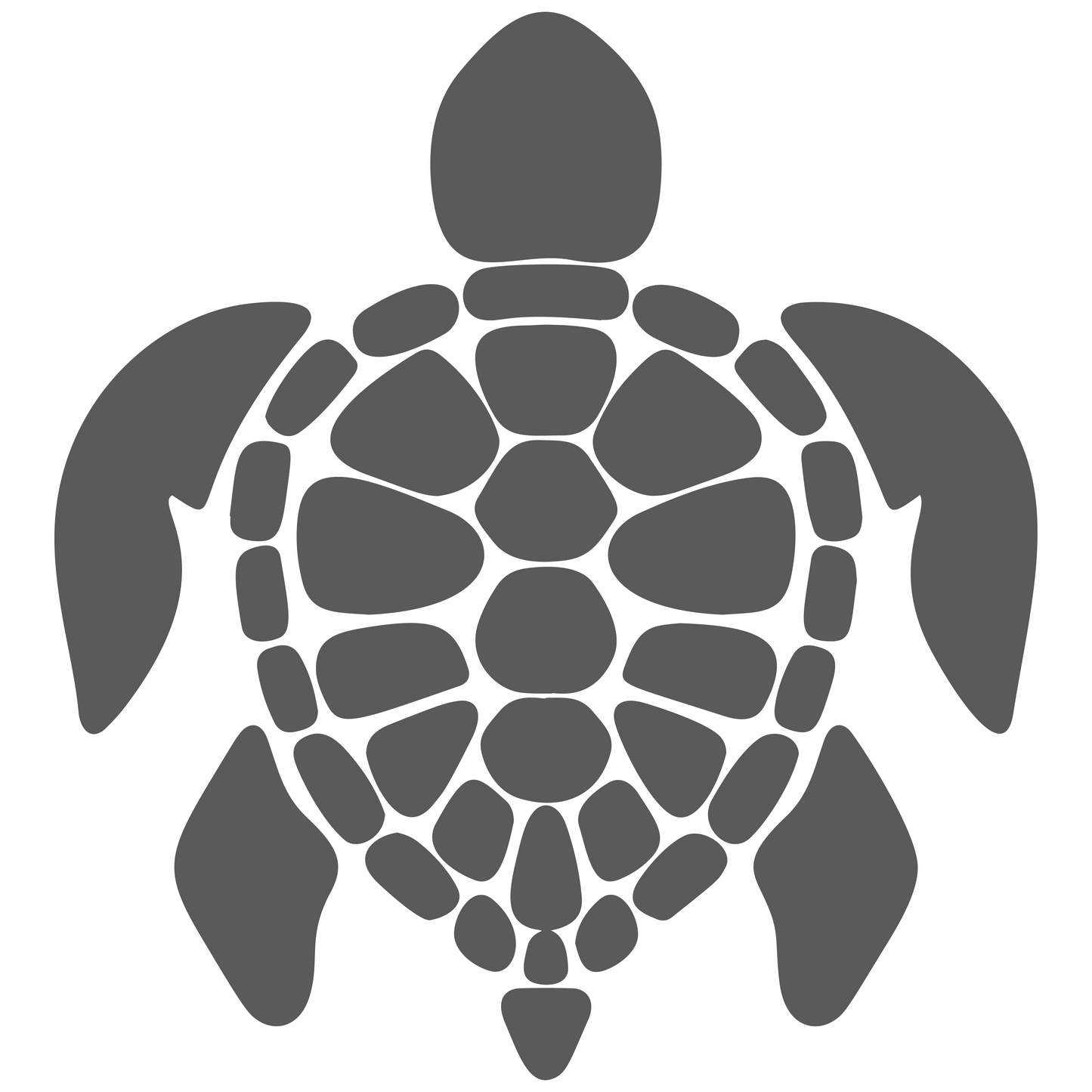 Turtle Pocket Graphic