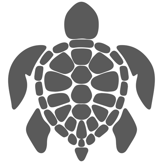 Turtle Pocket Graphic