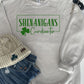 Shenanigans Coordinator Hoodie/Sweatshirt